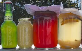 Fruity Lemon Water Kefir Learn How Now! images 14