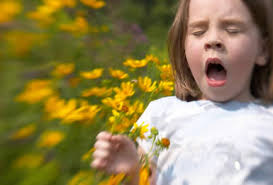 How to know if you have True or Toxic Allergies! imgres 20
