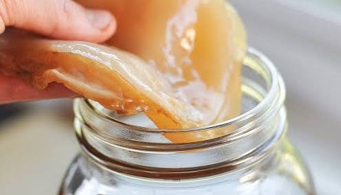 How to make your own Kombucha! images 1