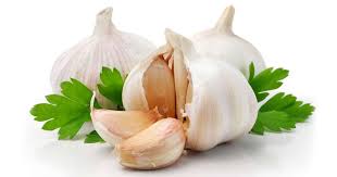 Garlic What?? Yes, Enemas! Great & Gorgeous Garlic Enemas! imgres