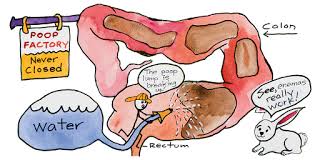 Learn How to Do Colon Cleansing Now! imgres