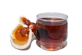 How Herbs Help Humans Basic Therapeutic Guidelines for Great Health. images 2