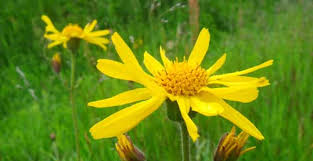 images 3
