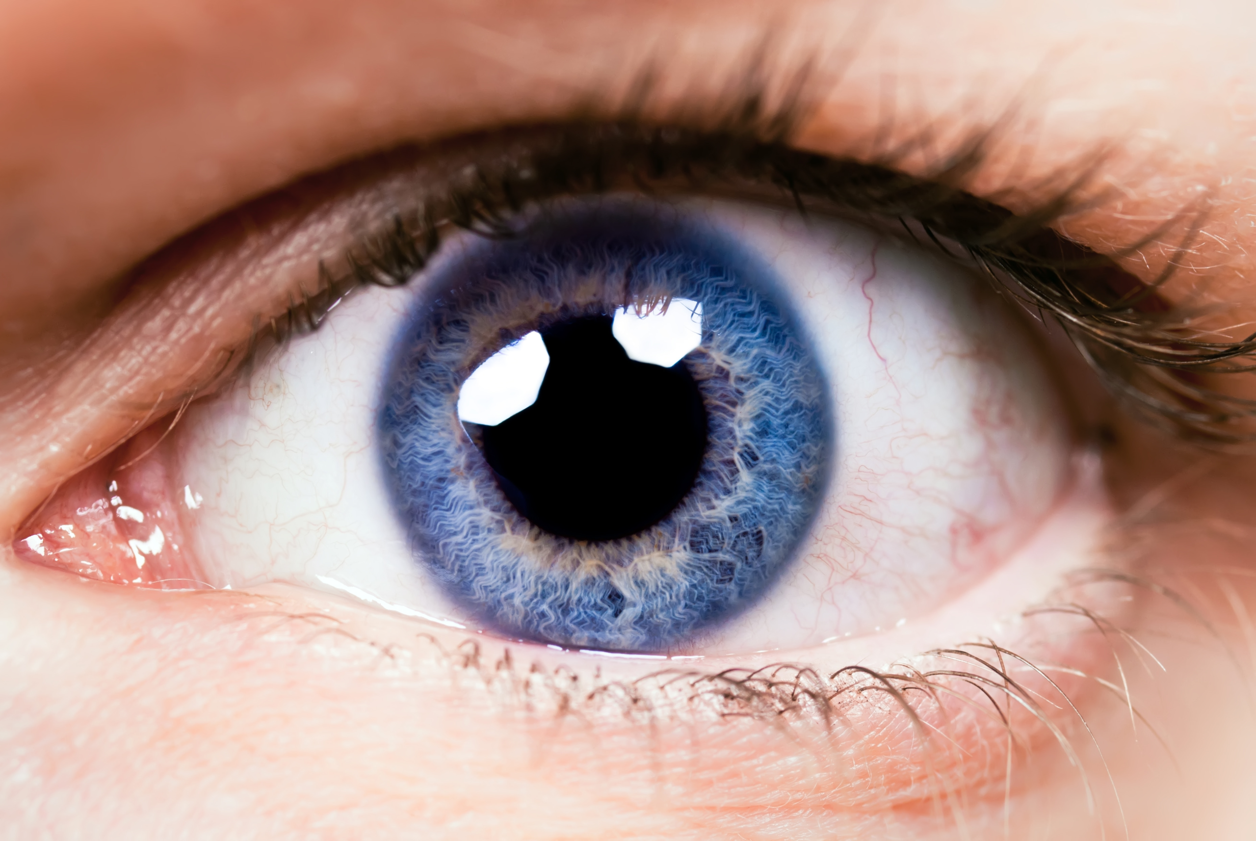 close up eye